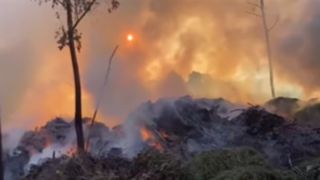 Batalhão Ambiental registra crime ambiental, em Capão Novo, e monitora local de incêndio