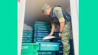 Batalhão Ambiental apreende mais de 500 quilos de pescado, sem comprovação legal, em Capivari do Sul