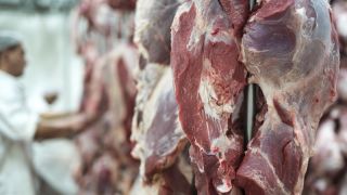 Com investimento de R$ 650 mil, abatedouro de bovinos é reaberto, em Encruzilhada do Sul 