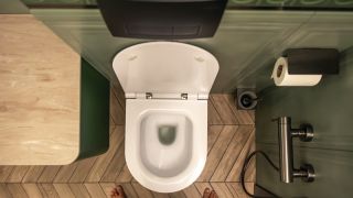 Como desentupir vaso sanitário que caiu objeto dentro