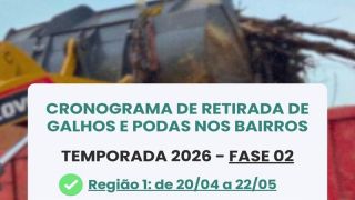 Camaquã inicia nova etapa de recolhimento de podas e galhos com cronograma até maio