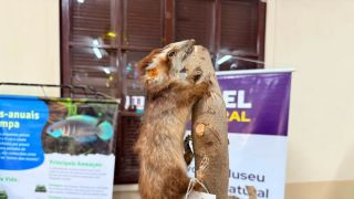 Semana Municipal do Meio Ambiente 2026 mobiliza estudantes e comunidade em Camaquã