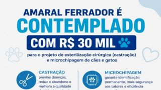 Amaral Ferrador conquista R$ 30 mil para castração e microchipagem de cães e gatos pelo FUNBEA-RS