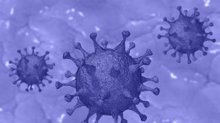 Ômicron pode ser o vírus de mais rápida propagação da história