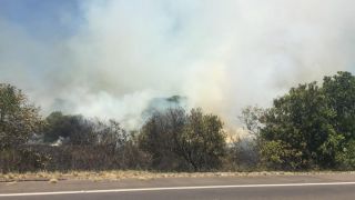Incêndio em vegetação bloqueia a ERS-040, em Capivari do Sul, no sentido Viamão/Litoral