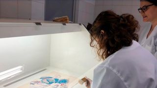 Rio Grande do Sul ganha o seu primeiro museu com obras sobre arte e doença mental