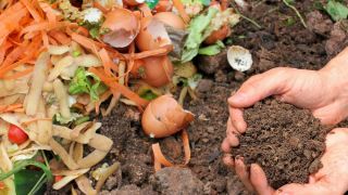 Plano nacional de fertilizantes será lançado este mês, diz Ministra da Agricultura