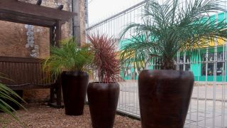 Você encontra diversas opções de vasos para plantas, na Floricultura Alecrim