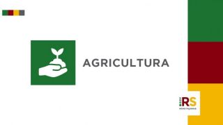 Agricultura aguarda documentação de municípios para assinar convênios de microaçudes