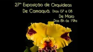 27ª Exposição de Orquídeas neste sábado e domingo, dias 7 e 8 de maio, em Camaquã