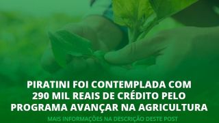 Piratini foi contemplada com 290 mil reais de crédito pelo Programa Avançar na Agricultura