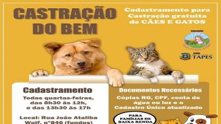 Castração gratuita de cães e gatos, pela Associação Amigos do Bem, em Tapes