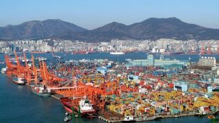 Suspensão de tarifas de importação da Coreia do Sul pode impulsionar importações brasileiras de suínos