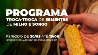Programa Troca-Troca de Sementes de Milho e Sorgo é prorrogado até dia 15 de junho, em Piratini