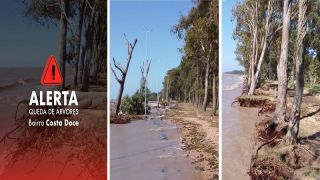 Devido à possibilidade de quedas das árvores, Prefeitura interdita temporariamente a orla da Costa Doce