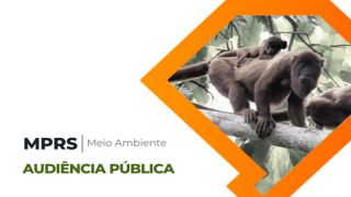 Caxias do Sul: MPRS realiza audiência pública sobre destinação de animais silvestres apreendidos