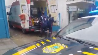 PRF socorre caminhoneiro atacado por abelhas enquanto dirigia, entre Santa Maria e Rosário do Sul