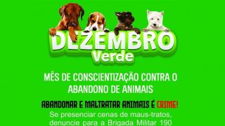 Dezembro Verde é o mês de conscientização nacional em combate ao abandono de animais