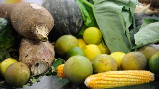 Cerca de 25% dos alimentos de origem vegetal no país têm resíduos de agrotóxicos