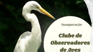 Inauguração do Clube de Observadores de Aves de São Lourenço do Sul acontece nesta quarta, dia 13