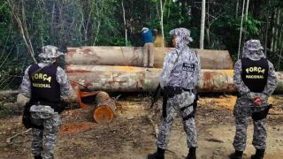 Governo Federal prorroga atuação da Força Nacional na Amazônia Legal