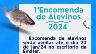 Encomenda de alevinos para 2024 abre prazo aos interessados junto a Emater de Mariana Pimentel