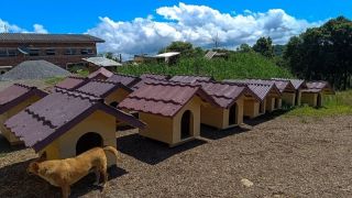 Penitenciária de Caxias do Sul faz doação de casas de cachorro produzidas por apenados para Canil de Farroupilha