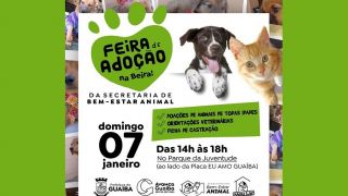 Vem aí a Feira de Adoção, em Guaíba, neste domingo, dia 7 de janeiro, das 14h às 18h