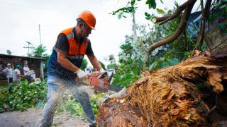 Guaíba registra bairros com ocorrências graves como árvores caídas, postes danificados e também fios caídos