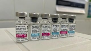 Primeiras doses da vacina do Sistema Único de Saúde, contra a dengue, chegam ao Brasil