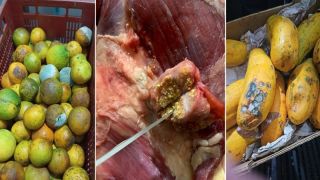 Fiscalização do Programa Segurança Alimentar interdita dois restaurantes, em Capão da Canoa