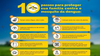 Ministros enfatizam união de brasileiros no combate ao mosquito da dengue