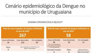Óbito por dengue foi descartado pela Secretaria de Saúde de Uruguaiana