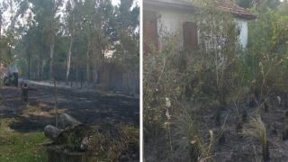 Bombeiros são chamados para atender incêndio em vegetação, em Eldorado do Sul