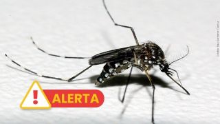 Estado do RS registra o oitavo óbito por dengue no ano, de uma mulher de 79 anos