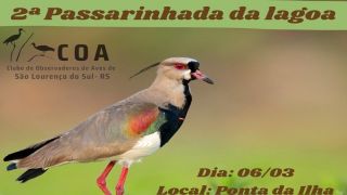 Clube de Observadores de Aves de São Lourenço do Sul realiza 2ª Passarinhada na Orla da Lagoa