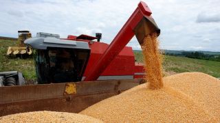 Safra no RS: Conab estima produção de 40,18 milhões de toneladas de grãos