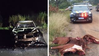 Carro roubado de Santa Maria, e com muita carne bovina, é incendiado na BR-287, em São Pedro do Sul