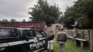 Polícia Civil recupera 29 animais bovinos na Localidade de Palma, em Rio Grande