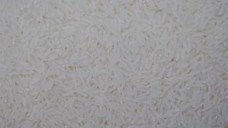 Enchentes no RS: Conab é autorizada a importar arroz pelo Governo Federal 